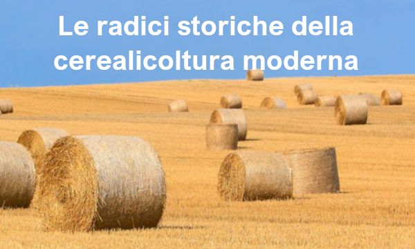 Le radici storiche della cerealicoltura moderna