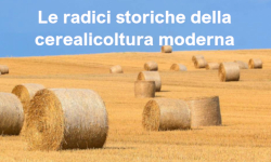 Le radici storiche della cerealicoltura moderna. Linee guida tecnico-archivistiche per il trasferimento delle conoscenze agronomiche