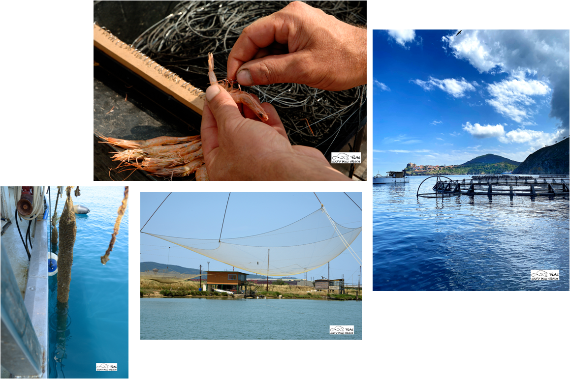 Foto della campagna fotografica